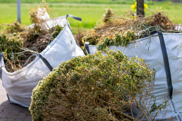 Best Trash Removal Near Me  in West Ishpeng, MI